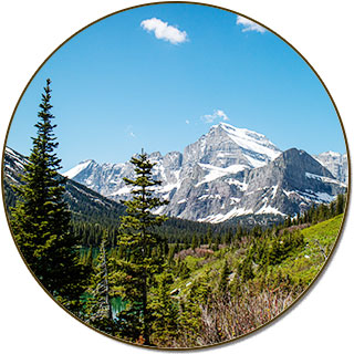 Scenic landscape with evergreen trees close and mountains in the distance with snowy white tips and a blue sky