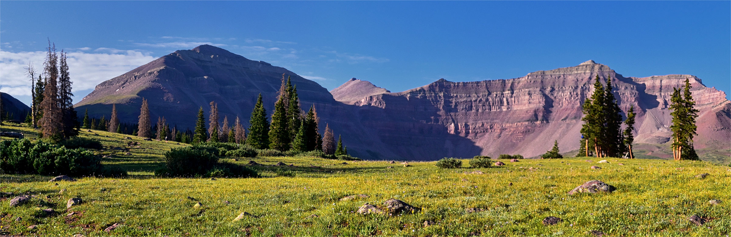 A picture of nature with towering mountains in the background.
