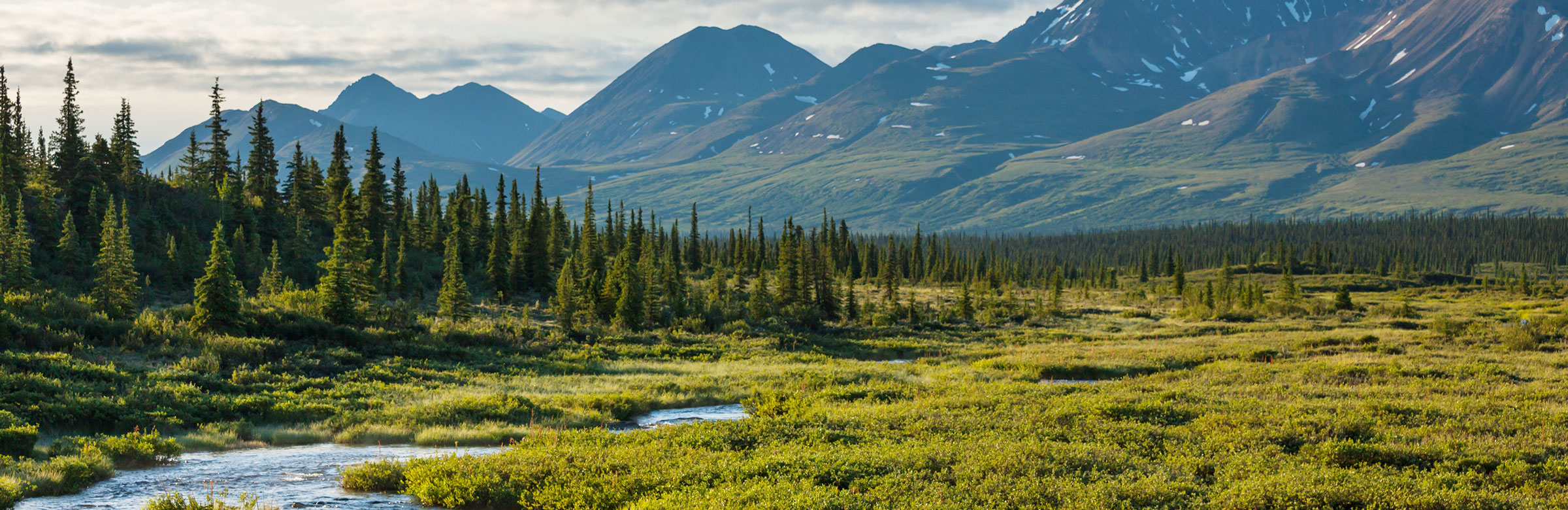 A picture of nature with mountains and trees in the background and a lake in the foreground
